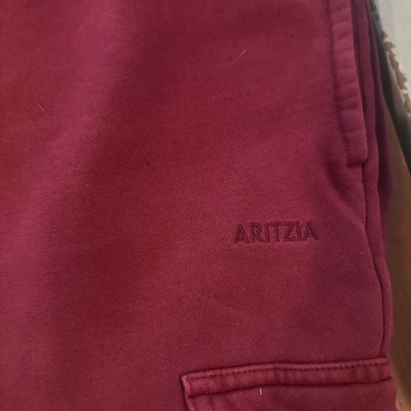 Aritzia Sweatfleece Joggers in Wine Red - Picture 3 of 4